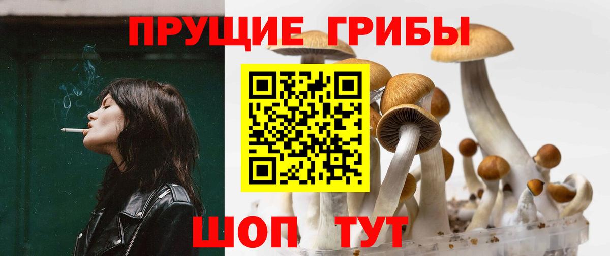 Галлюциногенные грибы Psilocybine cubensis Спасск-Дальний